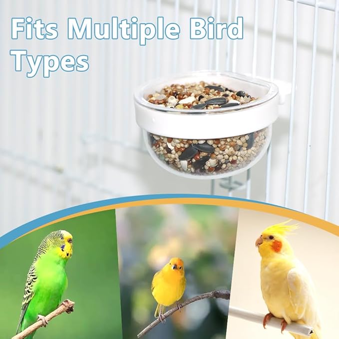 6 Pack Detachable Transparent Bowl Plastic Food Cup Convenient Hanging Seed Water Feeder for Parrot Canary Finch Small Size Bird