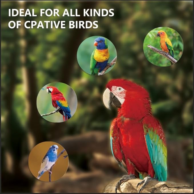 LUCKY HERP UVA UVB Light Bulb for Birds 2.4 UVB 20W Compact Flourescent Lamp for All Kinds Captive Birds