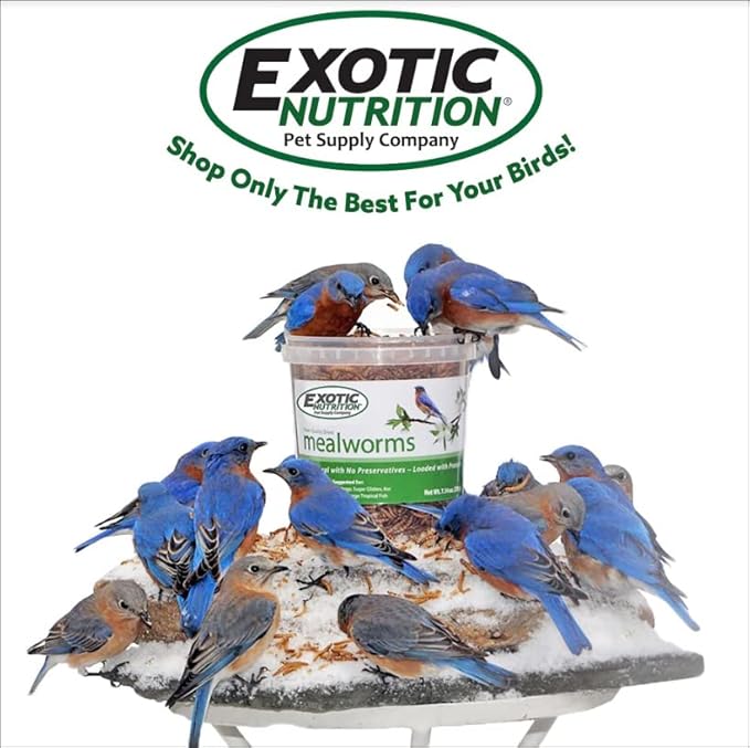 Exotic Nutrition 40 LB Bulk Dried Black Soldier Fly Larvae - High-Calcium Insect Treat - Chickens, Wild Birds, Bluebirds