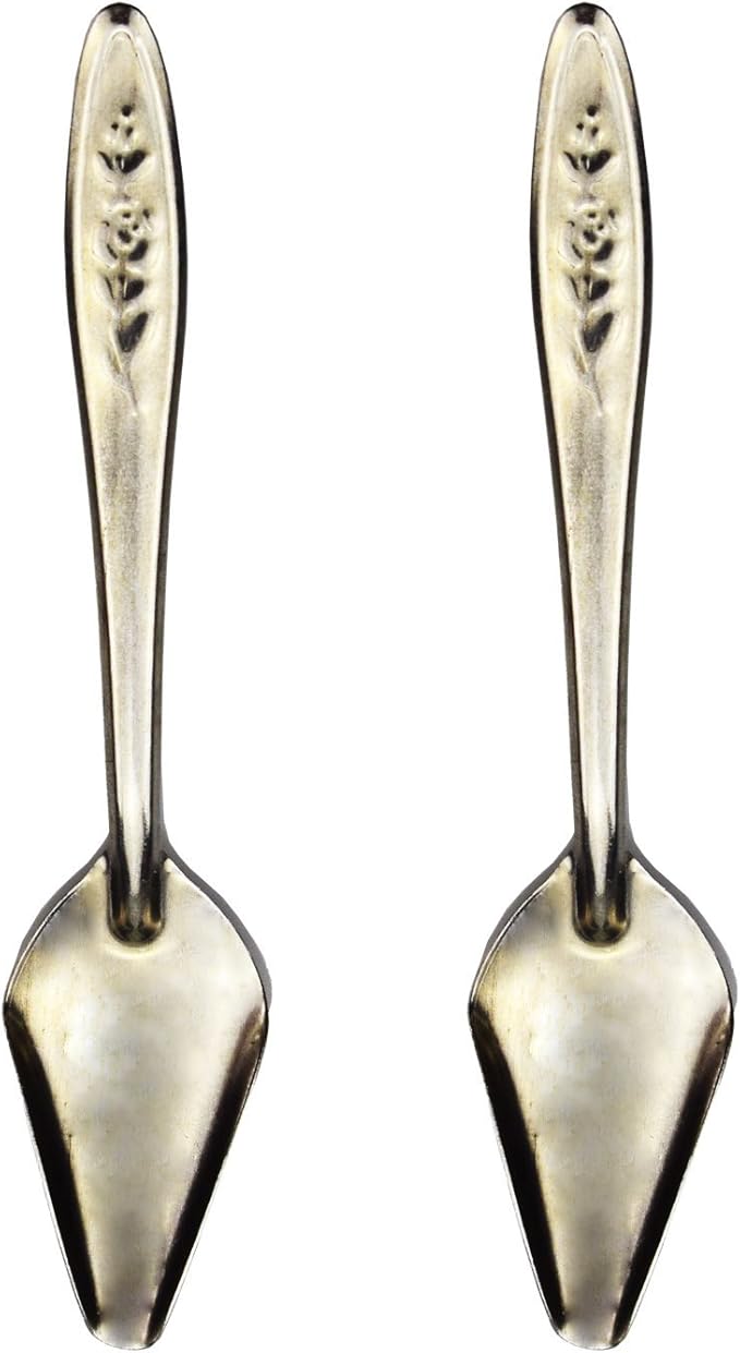 4.7" Bird Parrot Stainless Steel Metal Feeding Spoon,Special Feeding Scoop Medicine Spoons Hand Feeding Spoons for Peony Cockatiel Parrot (2 PCS)