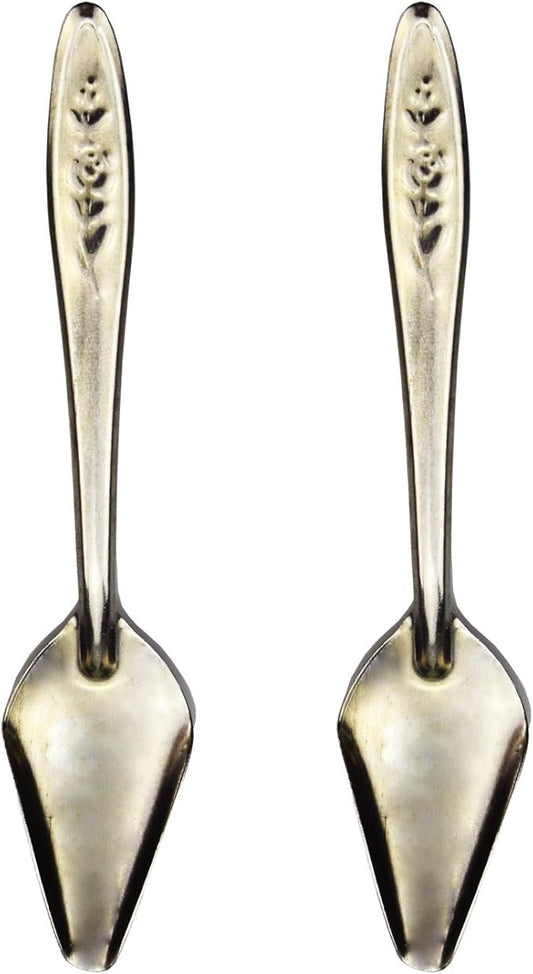 4.7" Bird Parrot Stainless Steel Metal Feeding Spoon,Special Feeding Scoop Medicine Spoons Hand Feeding Spoons for Peony Cockatiel Parrot (2 PCS)