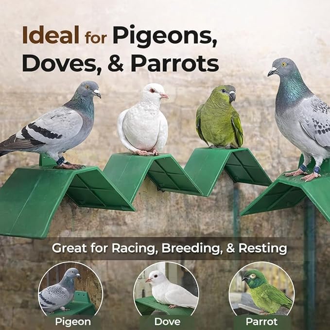 plplaaoo 10PCS Plastic Dove Rest Stand – Anti Skid & Heat Resistant Pigeon Perch for Racing Birds – Green Roost Holder for Bird Cages, Doves, and Parrots