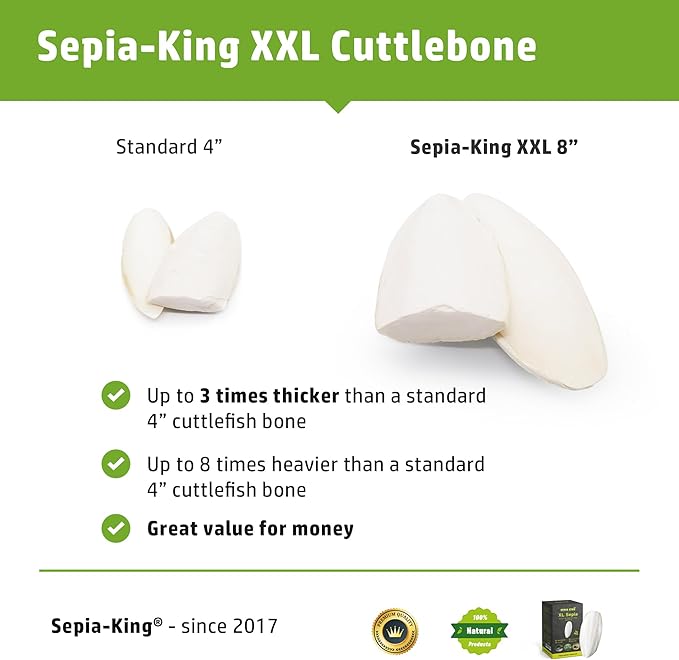 Sepia King - Extra Large - 100% Natural Calcium Supplement - Premium Cuttlebone Perfect for Birds, Tortoises, Snails, Reptiles - Pack of 3