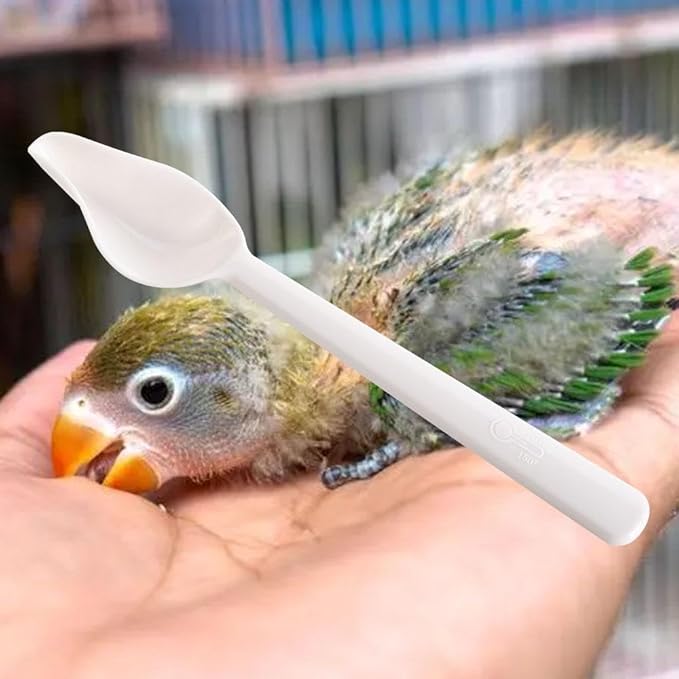 Bird Feeding Spoon, Long Handle Bird Food Water Spoon, Milk Powder Feeder for Cockatiel Parrots