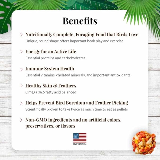 LAFEBER'S Tropical Fruit Nutri-Berries Pet Bird Food, Made with Non-GMO and Human-Grade Ingredients, for Macaws (10 Ounce Pack of 2)