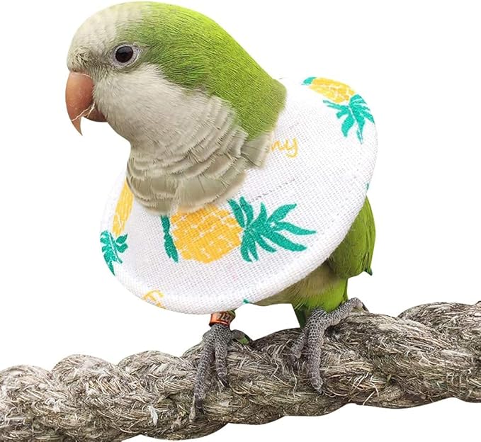 Bird Collars,Adjustable Recovery Collar Parrot Elizabeth Collar for Feather Plucking Feather Protector Shield with Soft Padded Cotton Neck Cone Anti-bite Anti-Licking Wound Healing (3XL,Pineapple)