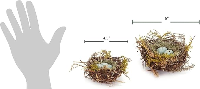 The Bridge Collection Faux Decorative Bird's Egg Nest - Cute Bird Nest with Eggs Tabletop Decoration for Spring, Summer, Everyday Home Decor (Robin's Eggs - Set of 2)