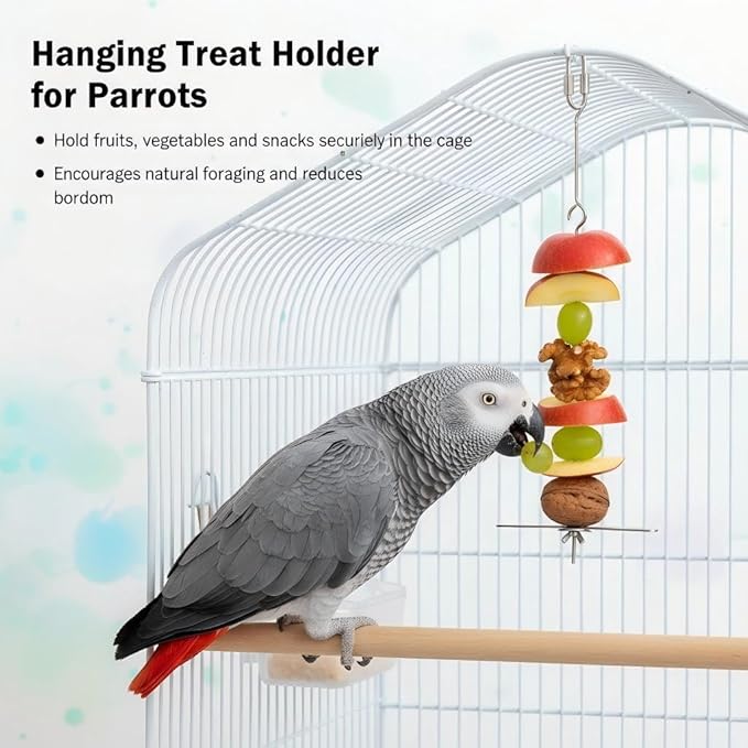 3P Stainless Steel Bird Cage Food Holder & Foraging Toy for Parakeets, Budgies, Macaws - Fruit & Vegetable Skewer Feeder