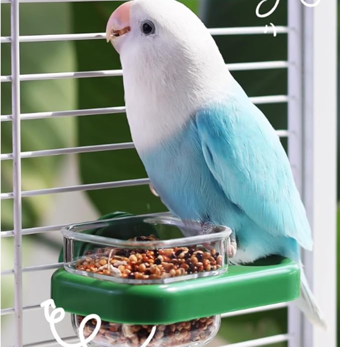 Bird Cage Feeder Portable Bird Plastic Feeding Dish Cup Detachable Bowl with Perch for Parakeet Budgies Cockatiel Lovebird Small Birds (Square,White)