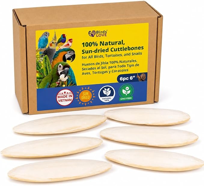 Birds LOVE 5.5-6″ Cuttlebone for Birds – 100% Natural Sun-Dried Calcium & Beak Conditioning Supplement for Parakeets, Budgies, Cockatiels, Finches & Canaries – 6 Pack with Holder – Made in Vietnam
