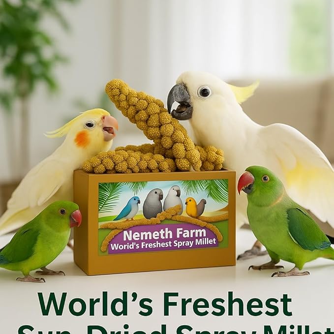 Nemeth Farms Spray Millet for Birds - Natural Non-GMO Millet Treat for Parakeets, Cockatiels & Parrots - 25 lb