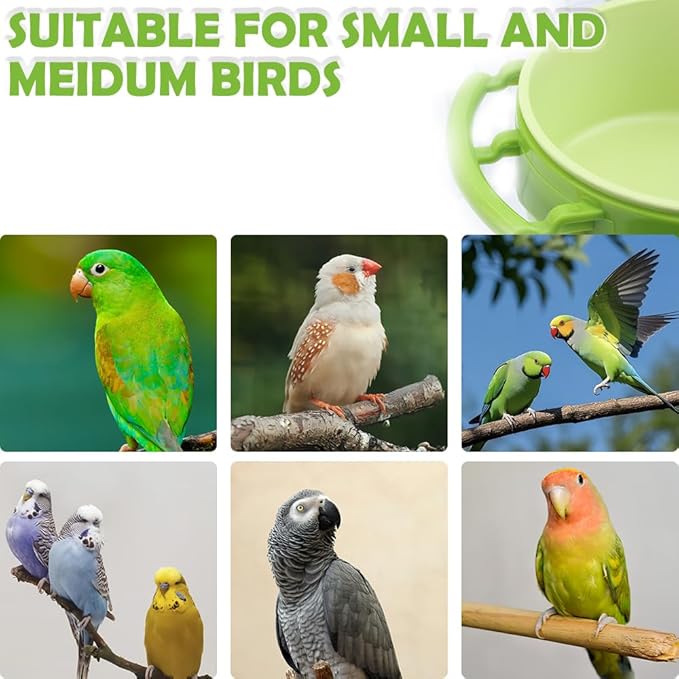 2 Pack Bird Cage Feeder Plastic Feeding Dish Detachable Components for Bird Parrot Parakeet African Grey Conure Cockatiel Lovebird (Green and Yellow)