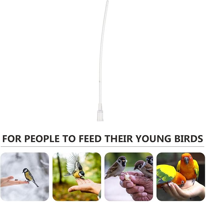 5Pcs Bird 12cm Immature Birds Device Transparent Feeder Water Feeder for Parrot Hand Tools Parakeet Food