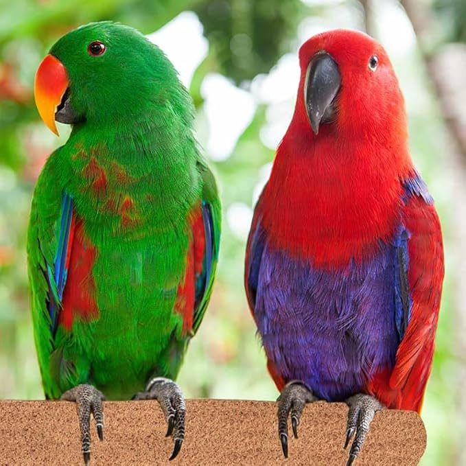 Super Bird Creations Sure-Grip Grooming Perch, Large