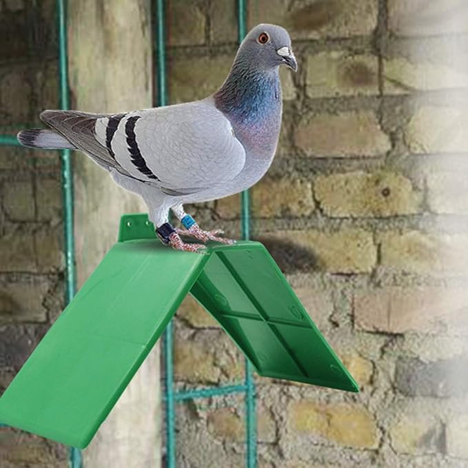 Bird Perch Pigeon Rest Stand 10PCS Plastic Small Green Anti-Skid Design Dove Rest Stand Pigeon Perches Frame Bird Supplies,6.69x6.69x3.94inch