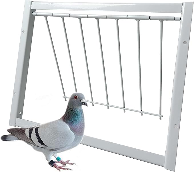 Pigeon Trap Loft Door with Steel Frame, Pigeon Doors Trap Rust Resistant Bird Cage House Door for Racing Pigeons, Pigeons Supplies (12in/ 30cm)