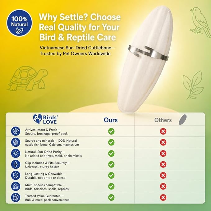 Birds LOVE 7.5-8" Cuttlebone for Birds – 100% Natural Sun-Dried Calcium Carbonate Mineral Supplement – for Parakeets, Budgies, Cockatiels, Finches & Canaries – 2 Pack with Holder – Made in Vietnam