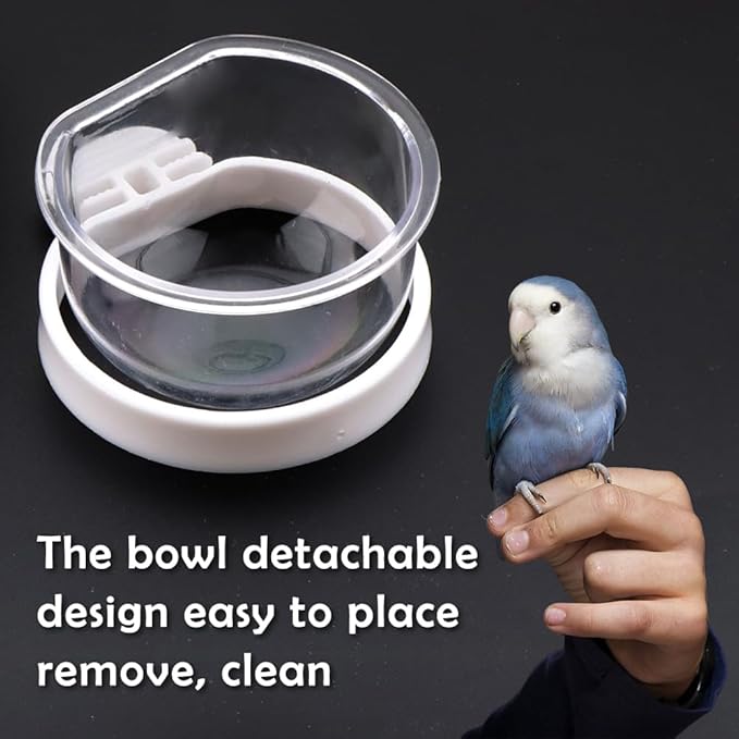 6 Pcs Small Bird Detachable Transparent Bowl Parrot Plastic Food Cup Canary Finch Convenient Hanging Seed Water Feeder (with 6 pcs Small Food Cups)