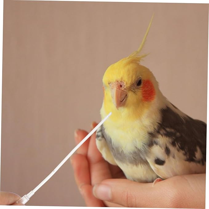 FRCOLOR 25 Pcs Baby Bird Hose Parakeet Food Pet Feeder Medicine Capsule Baby Birds Drinking Tool Parrot Hose Pigeon Feeder Connector Plastic Medication