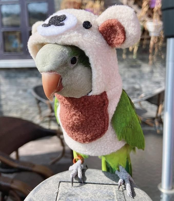 Bird Costume Bird Diaper Flight Suit Bird Bear Shape Bird Clothes Cosplay Photo Prop for Parrots Lovebird Parakeet Cockatiel Small Animals Apparel (Without Diaper,Green Quaker)