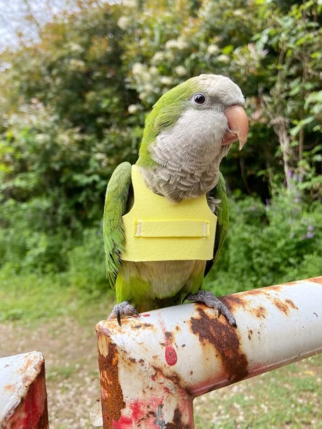 Bird Flight Harness Vest, Parrot Flight Suit with Leash for Parakeets Cockatiels Conures Budgies, Bird Flying Clothes with Rope and Handle for Outdoor Activities Training (5XL,Yellow)