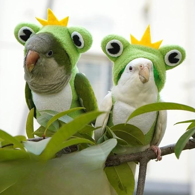 Bird Clothes Cosplay Photo Prop Frog Shape Hoodie, Bird Diaper Flight Suit, Small Animal Apparel for Parrots, Parakeet, Cockatiel, Sun Conure - Green, Small