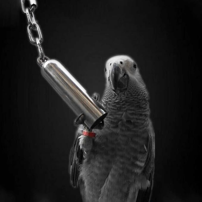 Quluxe 2 Pcs Stainless Steel Bell Bird Toys Chew Toy Heavy Duty Bird Cage Stand Toys for Parrot, Macaw, African Greys, Small Cockatoo, Parakeet, Cockatiels