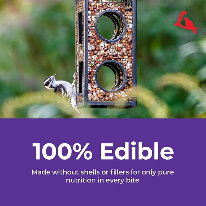 Lyric Delite Wild Bird Seed for Outside Feeders - No Waste Bird Food, Shell-Free Nuts & Seeds Mix, Attracts Buntings, Chickadees & Finches, 5 lb Bag