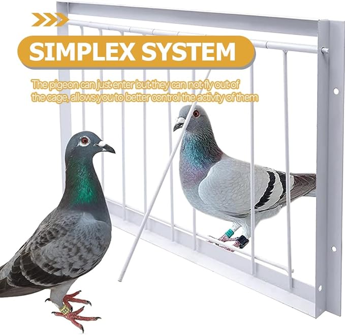 Amosfun 45pcs Pigeon Cage Door Bird Entrance - Iron T Shape One Way Bar Curtain for Bird Cages