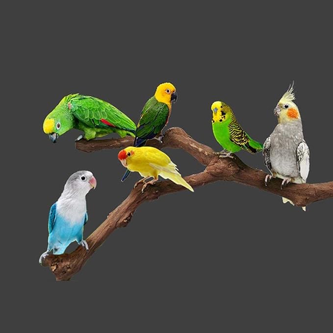 5 PCS Natural Grape Stick Perch Swing Chewing Toys for Parrot Cages, Cockatiels, Parakeets, Finches - Bird Standing Stick