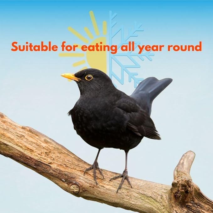 RAFF Realpasto Insect Bird Food Diet 5Lb - High-Protein for Worm-eating Bird Feed and Aviary Food Mix for All Insectivorous Species - Supports Plumage Color and Stimulates Singing Naturally