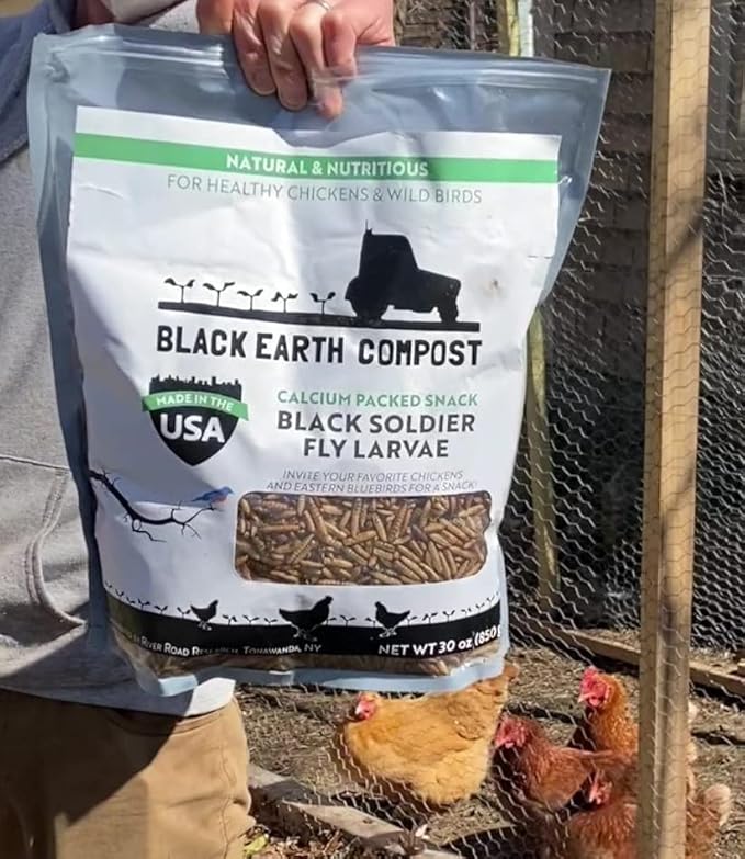 Black Solider Fly Larvae 30 OZ - Made in The USA - More Calcium Than Mealworms - High Protein Chicken Treat - All Natural