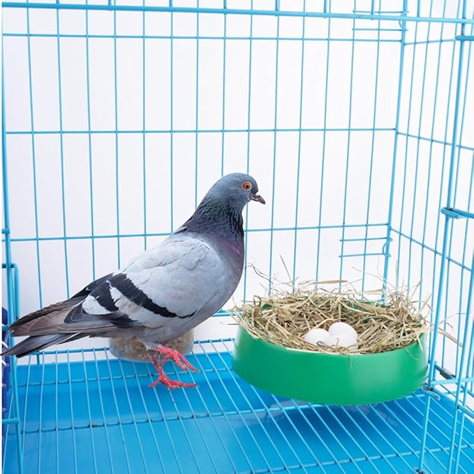 DQITJ 10 Pack Plastic Small Bird Nests Pigeon Nesting Bowls Quails Breeding Hatching Nest Canary Nest for Home Farm