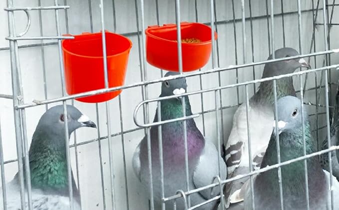 10 Pcs Hanging Cage Cups Birds Feeders Seed Bowl Chicken Feeder Waterer Dish Rabbit Water Food Poultry Pigeon Wire Cage (Red)