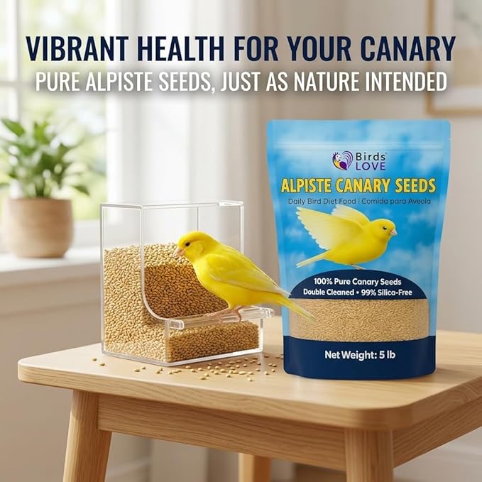 Birds Love Alpiste Canary Seed – 100% Pure, Non-GMO, Double Cleaned Food for Canaries, Finches, Budgies & Parakeets – No Additives, Bird Feed, 5 lbs