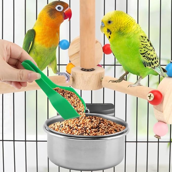 2Pcs Stainless Steel Bird Feeding Bowls with Feeding Spoon,Parrot Food Bowl Cage with Clamp Holder,Birdcage Coop Water Feeder for Cockatiel Parakeet Macaw Finches Small Animals