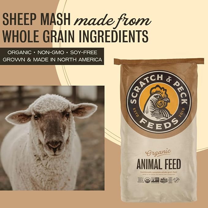 Scratch and Peck Feeds Whole Grain Mash + Corn Sheep Feed - 40 lbs Bag - Soy-Free - 15% Protein, Certified Organic and Non-GMO Project Verified Sheep Food