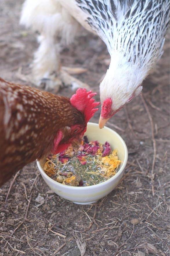 Pampered Chicken Mama Premium Nesting Herbs for Chickens (20 oz) Made with Flowers & Botanicals | Chicken Nesting Herbs | Nesting Herbs for Chicken Coop Herbs