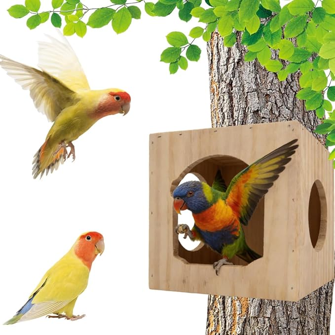 DQITJ Bird Cage House Nesting Box Wooden Breeding Nest for Small Bird Parrot Budgie Conure Lovebird Finch Parakeet Cockatiel