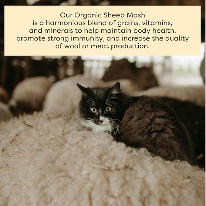Scratch and Peck Feeds Whole Grain Mash + Corn Sheep Feed - 40 lbs Bag - Soy-Free - 15% Protein, Certified Organic and Non-GMO Project Verified Sheep Food