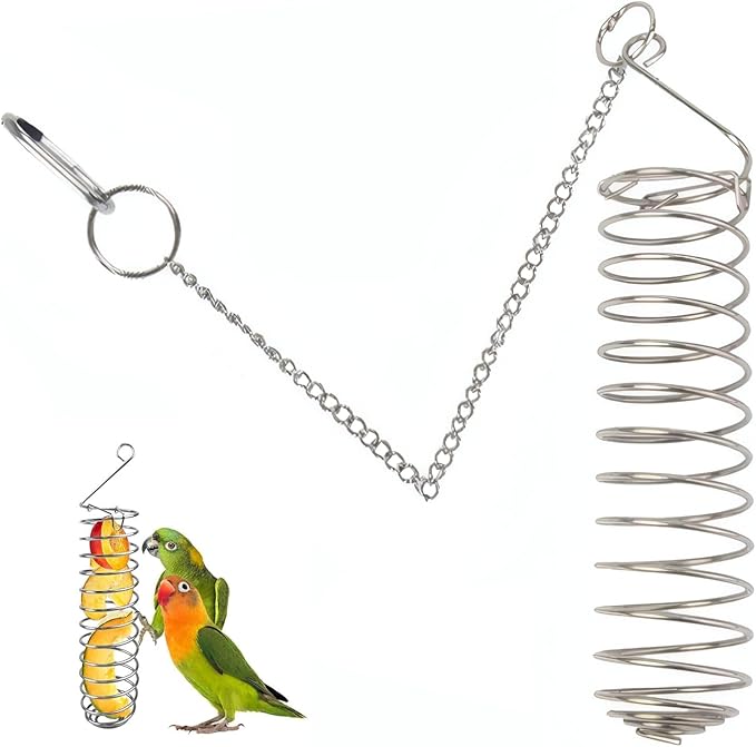 Bird Foraging Toy,Steel Holder for Bird Cage Accessories Hanging Fruit Vegetable Feeder for Parrot Cage Parakeet(Big)