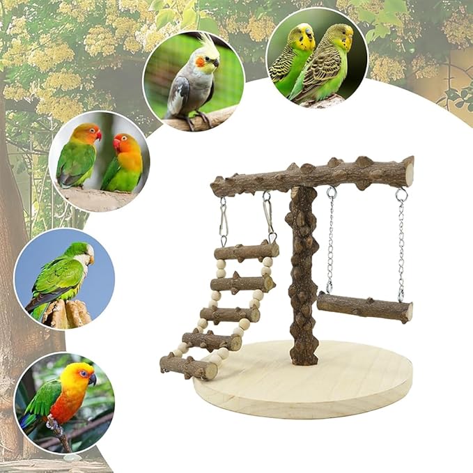 Natural Wood Parrot Play Stand, Bird Gym with Ladder and Swing, Training Station, Climbing Playground for Budgies, Cockatiels, Lovebirds,Conures Small to Medium Birds