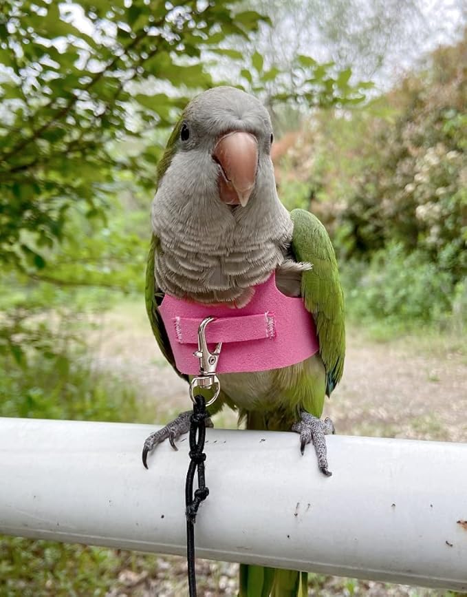 Bird Flight Harness Vest, Parrot Flight Suit with Leash for Parakeets Cockatiels Conures Budgies, Bird Flying Clothes with Rope and Handle for Outdoor Activities Training (XS,Pink)
