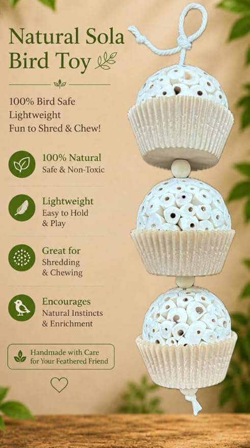 Shred and Destroy Bird Toy for Medium Birds - Conures, Cockatiels - Natural Sola Ball Hanging Chew Toy - 2 Pack - Boredom Buster Cage Toy