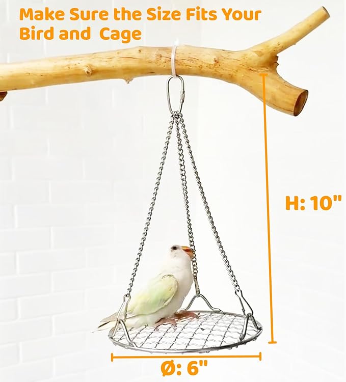 Bird Swing Perch Stainless Steel, Toy for Small Animal Parakeet Cockatiels Conures, Hanging Bird Cage Accessories to Balance Training for Budgies, Parrotlets, Rats, Hamsters, Sugar Gliders