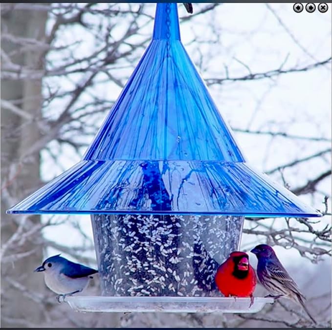 Sky Cafe - Squirrel Proof Bird Feeder for Outside - Large, 17 in. Diameter, 1.5 Gallon Birdseed Capacity - Made in USA (Sapphire Blue) - Free Squirrel Mug