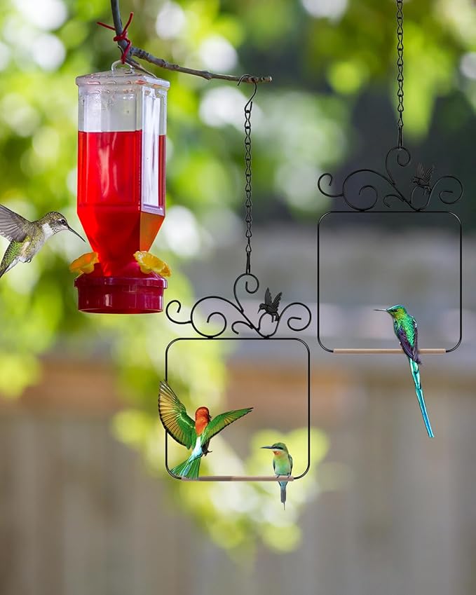 PACETAP Hummingbird Swings and Perches Metal Frame 2 Pack, Wild Bird Swing Outdoor Bird Perch with Wooden Dowel and 2 Hanging Chain for Indoor, Outdoor, Trunk, Lawn, Patio, Garden (2 Hummingbirds)