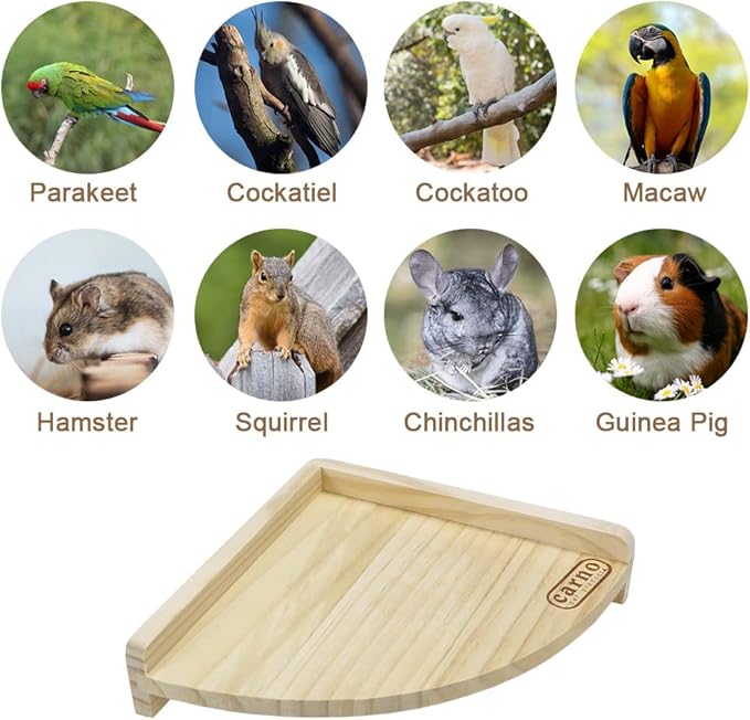 Litewoo Bird Perch Corner Platform Stand Shelf for Birds Budgie Parakeet Cockatiel Conure Cockatoo（Platform）