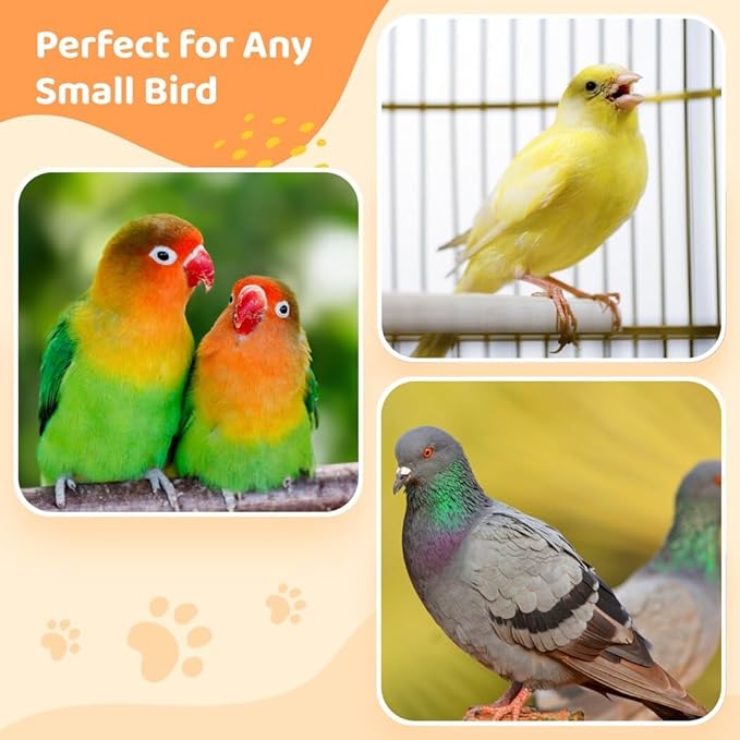 Bird Bath for Cage, Clear Bird Cage Hanging Bath Box, Small Bird Bathing Tub, Bird Cage Accessories for Cockatiel, Conure, Parakeet, Blue (Medium)
