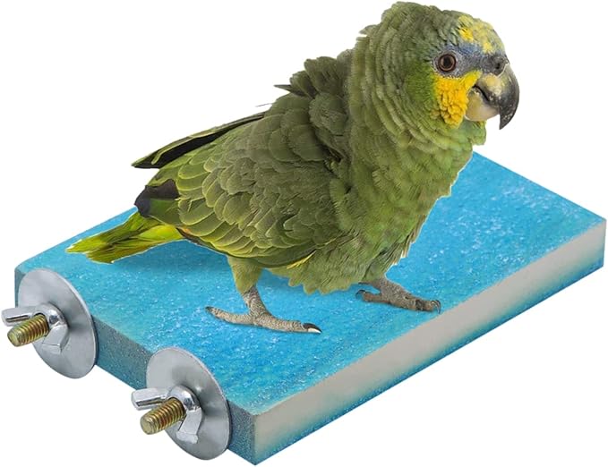Bird Parrot Perch Stand Platform Natural Wooden Coarse Sand Grinding Claw Stand Suitable for Parrot Parakeet Cockatiel Budgie Conures Lovebird Finch